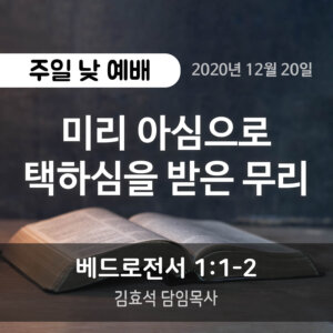 미리 아심으로 택하심을 받은 무리