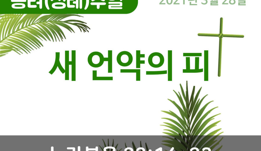 설교말씀(홈페이지)_종려주일 (압축) 새 언약의 피