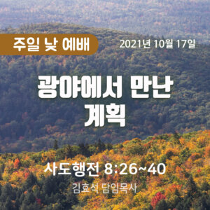 광야에서 만난 계획