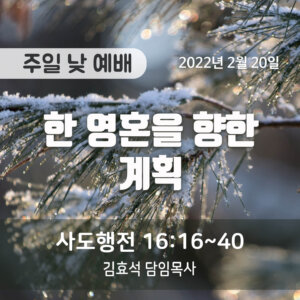 한 영혼을 향한 계획