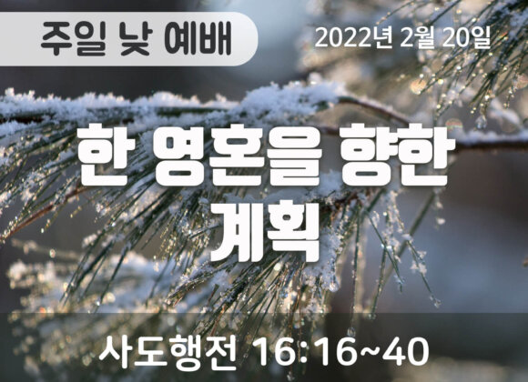 한 영혼을 향한 계획