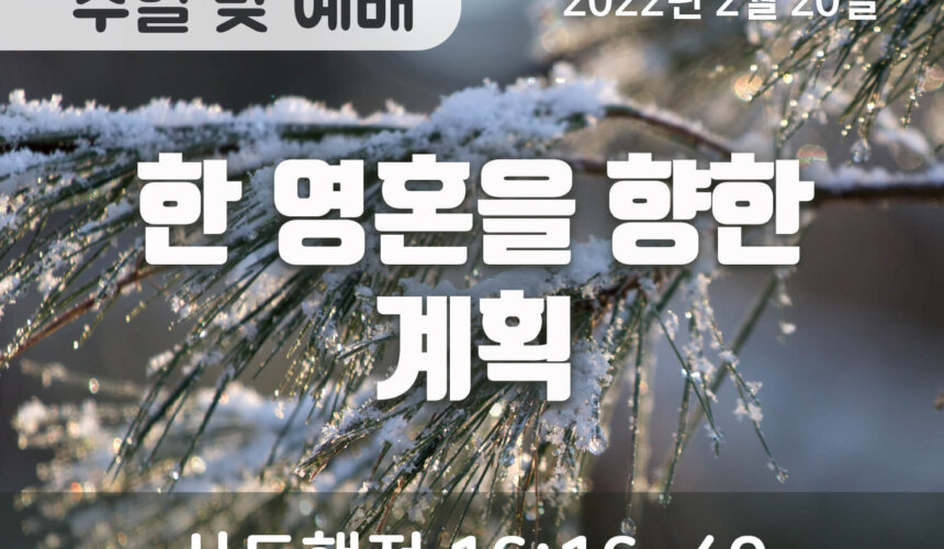 2022-02-20_설교말씀(홈페이지) (1) 한 영혼을 향한 계획