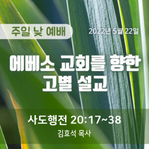 에베소 교회를 향한 고별 설교