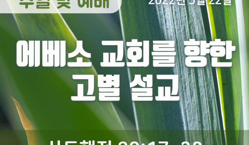 2022-05-22_설교말씀(홈페이지) (1) 에베소 교회를 향한 고별 설교