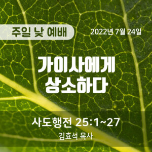 가이사에게 상소하다