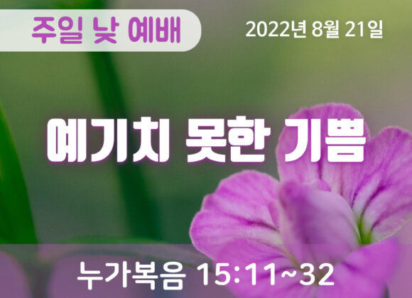 예기치 못한 기쁨