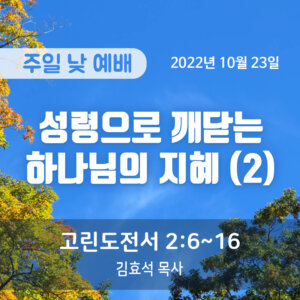 성령으로 깨닫는 하나님의 지혜 (2)