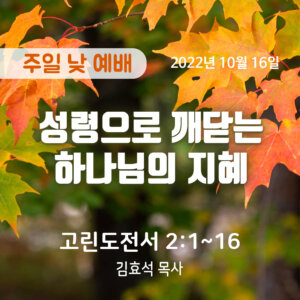 성령으로 깨닫는 하나님의 지혜