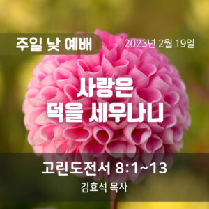 사랑은 덕을 세우나니