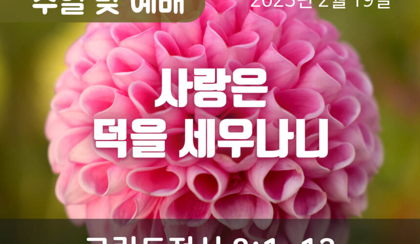 2023-02-19_설교말씀(홈페이지) (1) 사랑은 덕을 세우나니