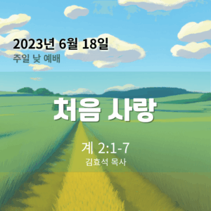 처음 사랑