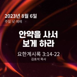 안약을 사서 보게 하라